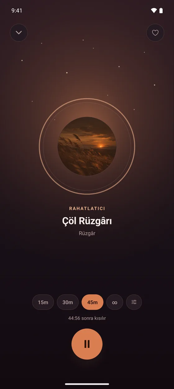 Pulvio uygulama ekran görüntüsü